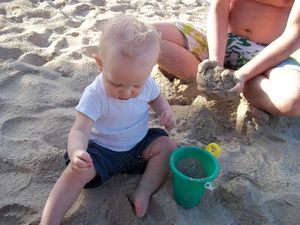Oliver Discovers Sand