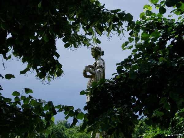 Statue and Shonbrunn