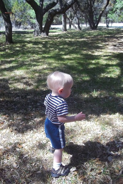 Oliver in Wimberley