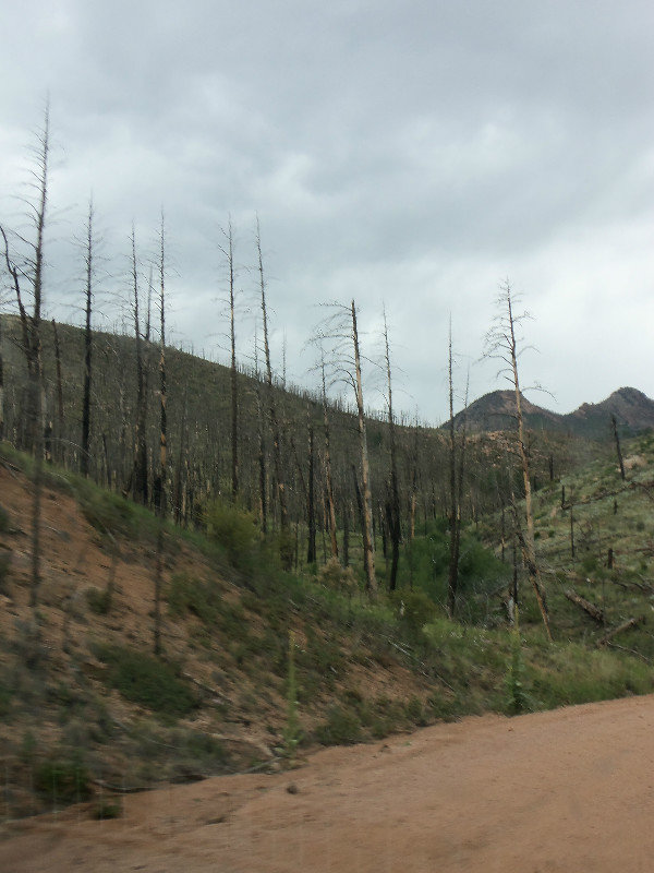 Hayman Fire Damage at Pike National Forest