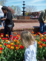 More Tulips (and Jo)