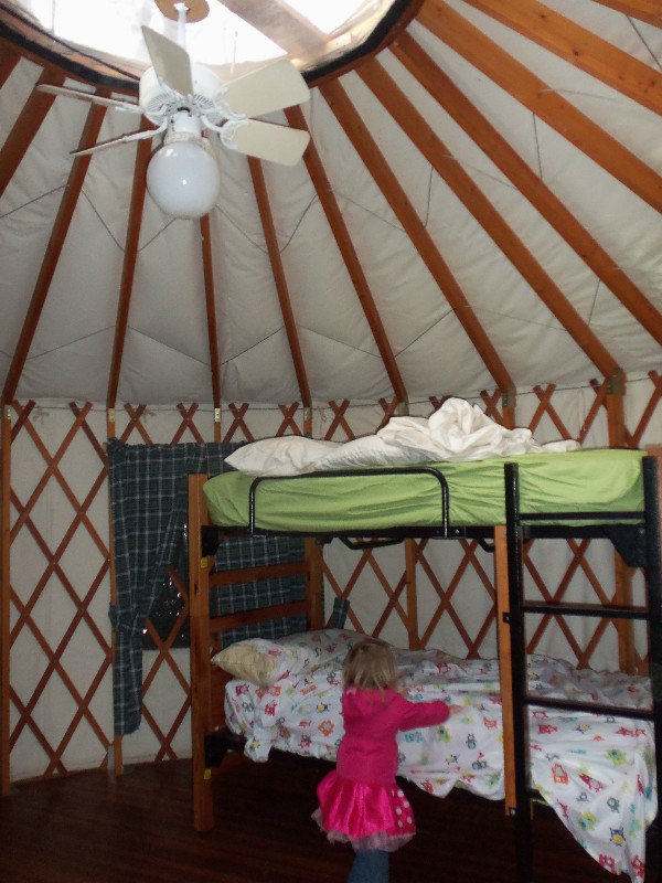 Inside the yurt in McIntosh Woods
