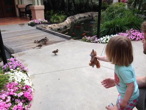 Joanna and Penny meet some ducks
