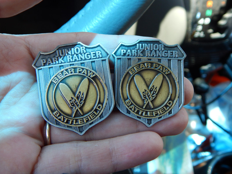 The kids' junior ranger badges