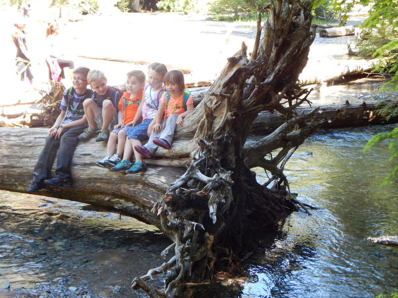 Kids at Avalanche Creek