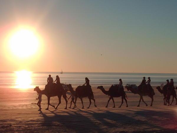 Sunset camel ride