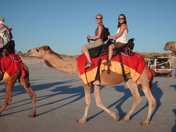Us on camels