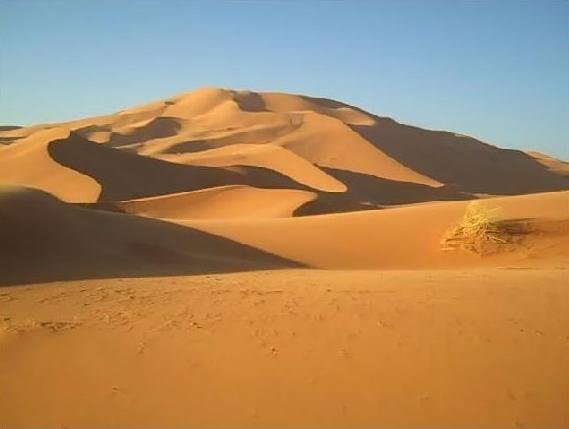 The Legendary Golden Sahara 