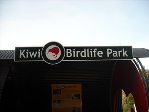 Kiwi park