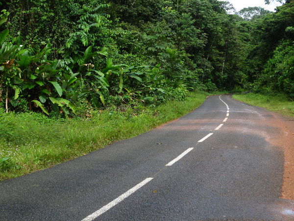 French Guiana roads