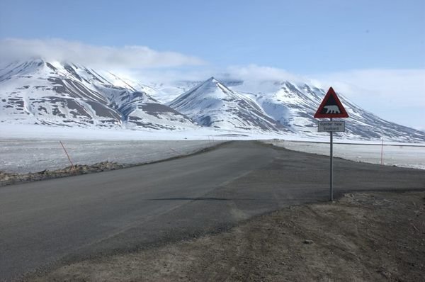 Polar Bear roadsign