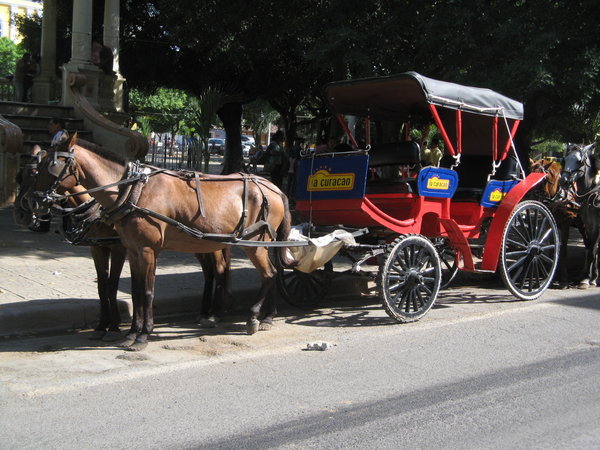 horse carriages