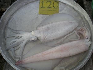 giant squid 120 baht=3.15$  not bad
