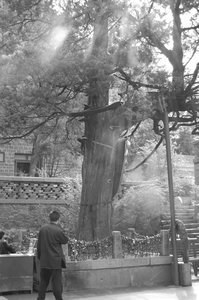Smokey incense burning at one of the temples