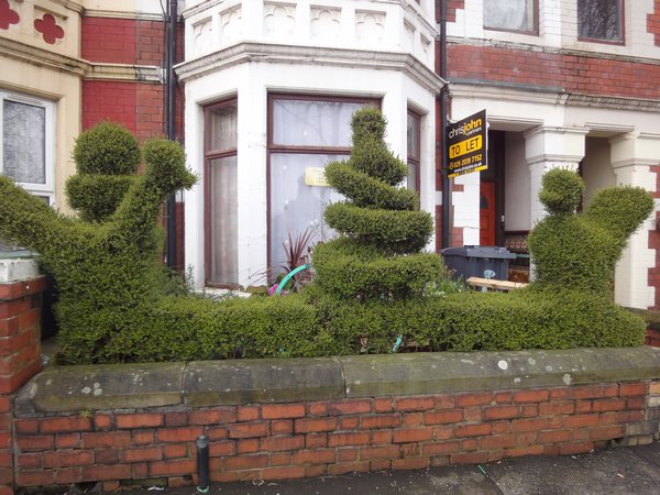 Creative topiary