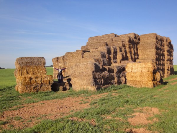My, What huge haystacks.