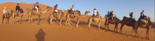 Our Camel Train