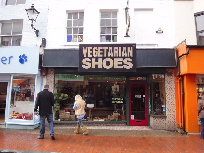 Vegetarian shoes?