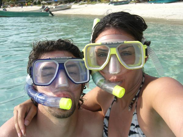 Snorkelling with Sharks & Turtles
