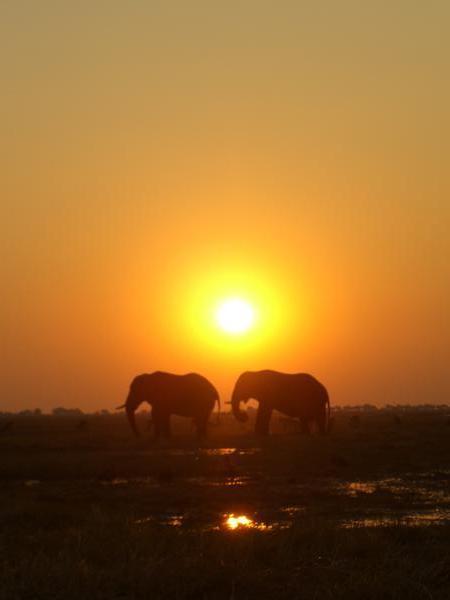 The sunsets on our African Adventure