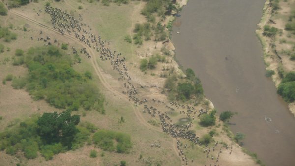 Flying into the Masai Mara