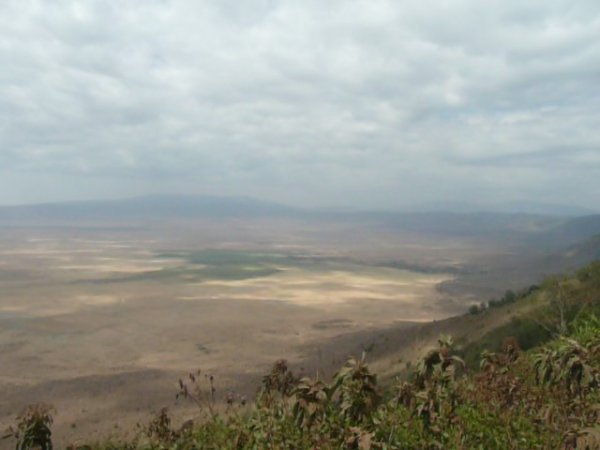Looking down into the Ngorongoro Crater.