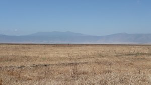 View from the bottom of the Ngorongoro Crater.