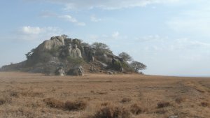 A granite outcropping on the Serengeti plans known as a koppes