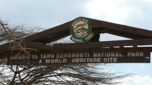 The entrance to the Serengeti