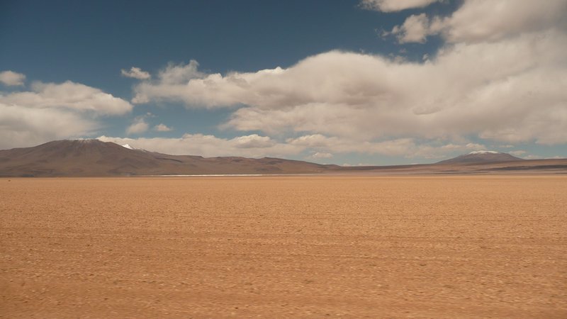Daly Desert