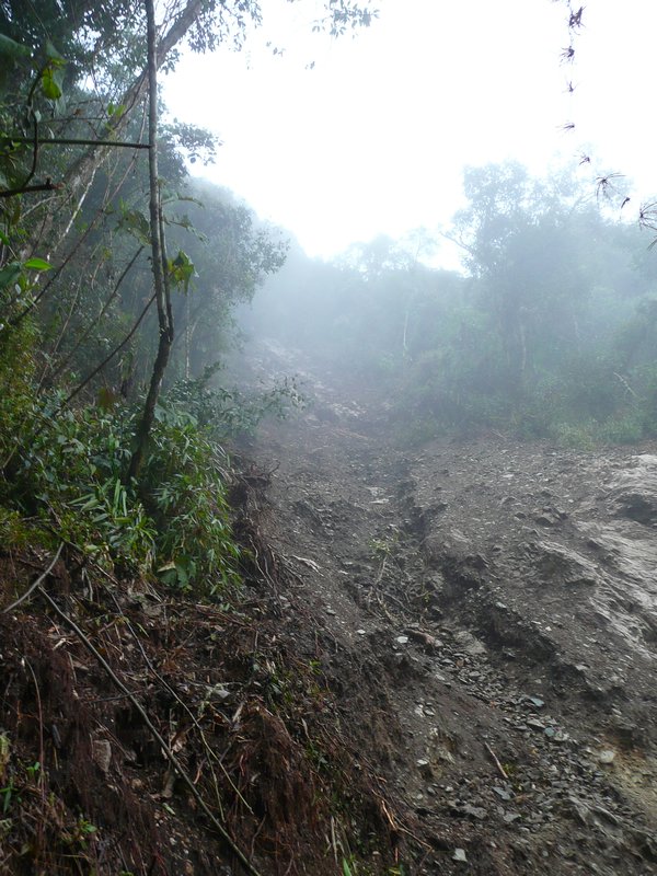 Landslide on the Trail