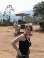 Claire and the Ox cart