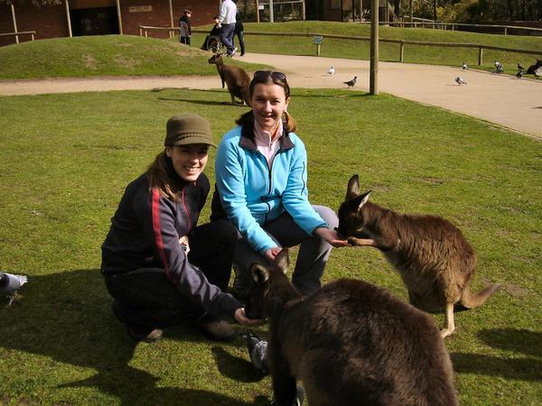 Claire, April and the Kangaroos