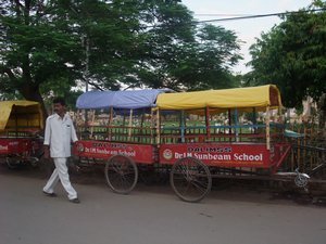 They take the schoolkids in these to school, driven by a bicycle, so cute!