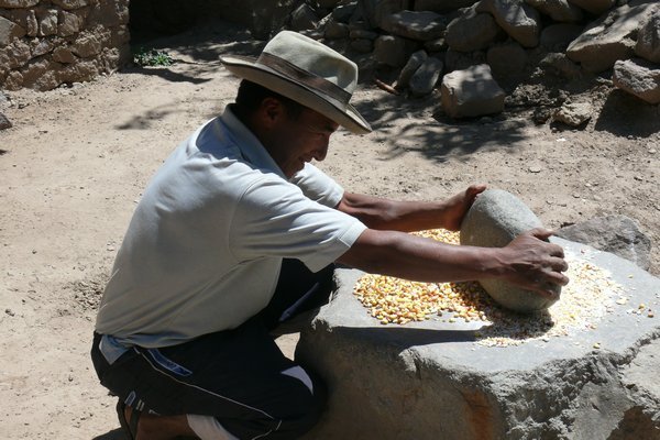 The Quechan man grinding the maize