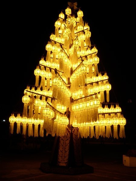 Lantern Tree, Chiang Rai