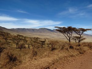 Ngorongoro National park