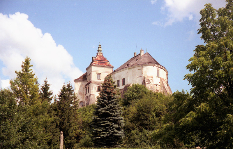 Oles'ko Castle