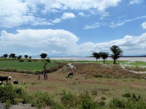 Rural Ethiopia