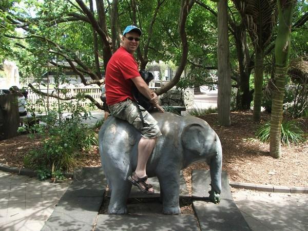 An elephant ride at the zoo