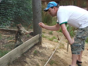 The Quoll and me