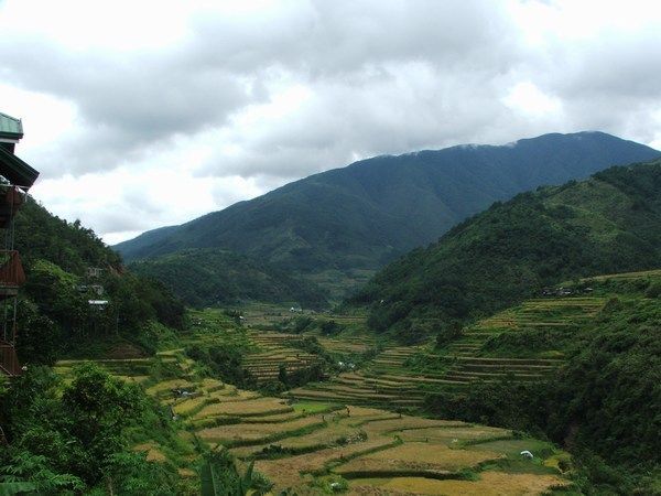 Hapao and Hangduan Rice Terraces 