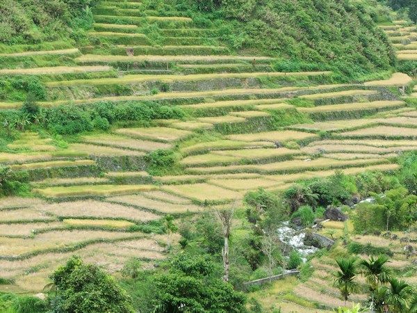 Hapao and Hangduan Rice Terraces 
