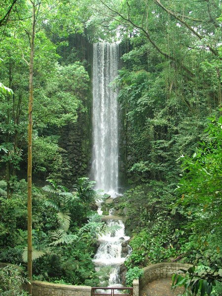Indoor Waterfall