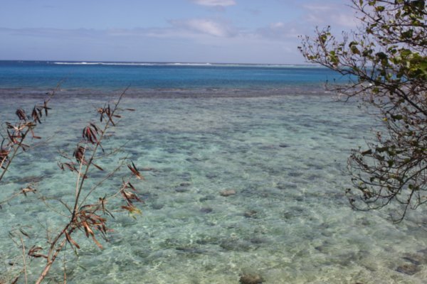 Shallow waters of the lagoon