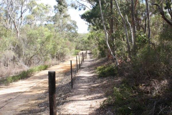 Bush trail near Mt Bold Reservoir