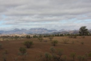 Semi-desert landscape
