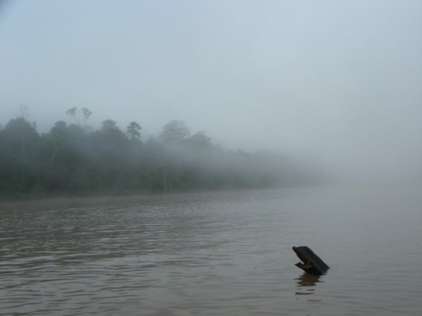 Fog rising over the river at dawn