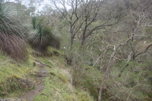 Trail decending Cobblers Hill