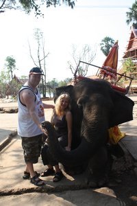 Elephant Village